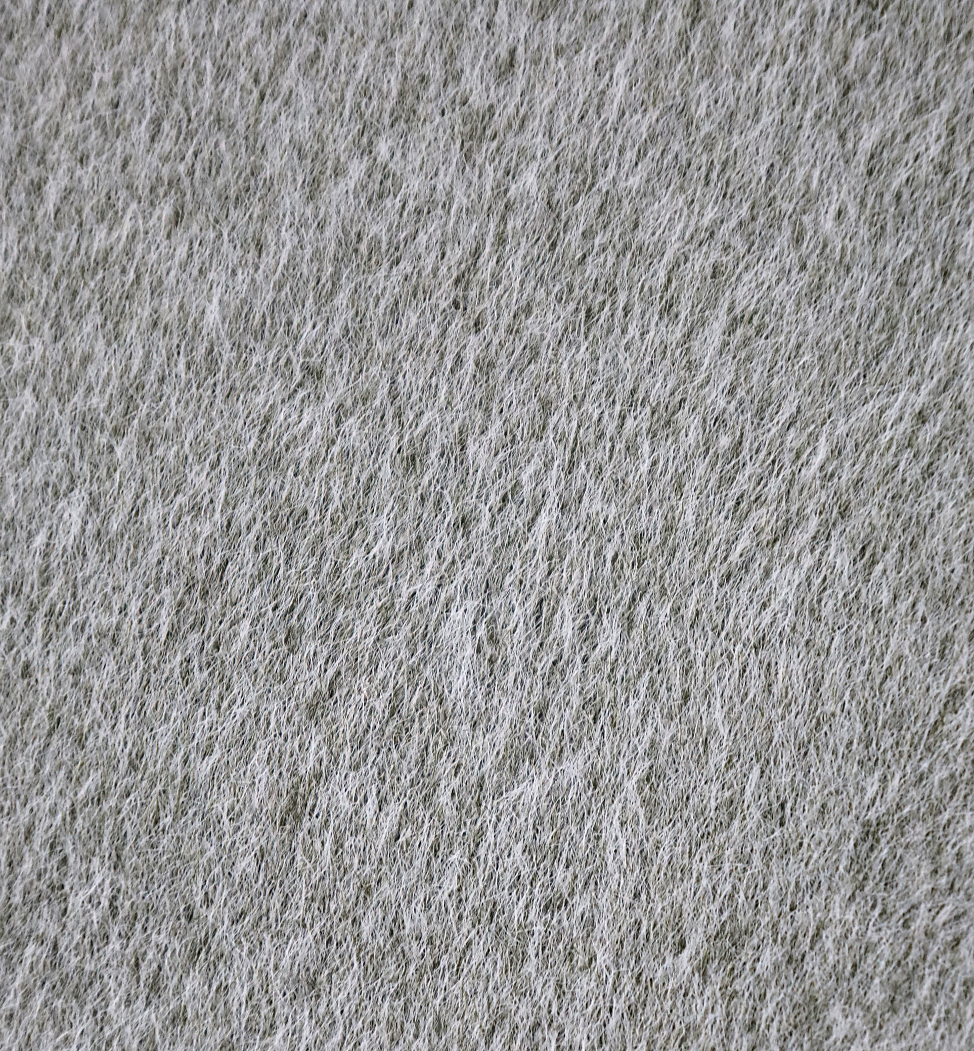 ALPACA